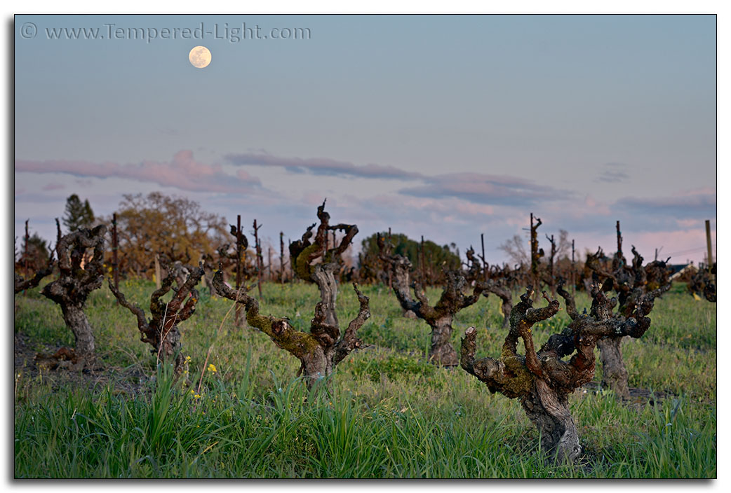 Moonrise, Papera Ranch