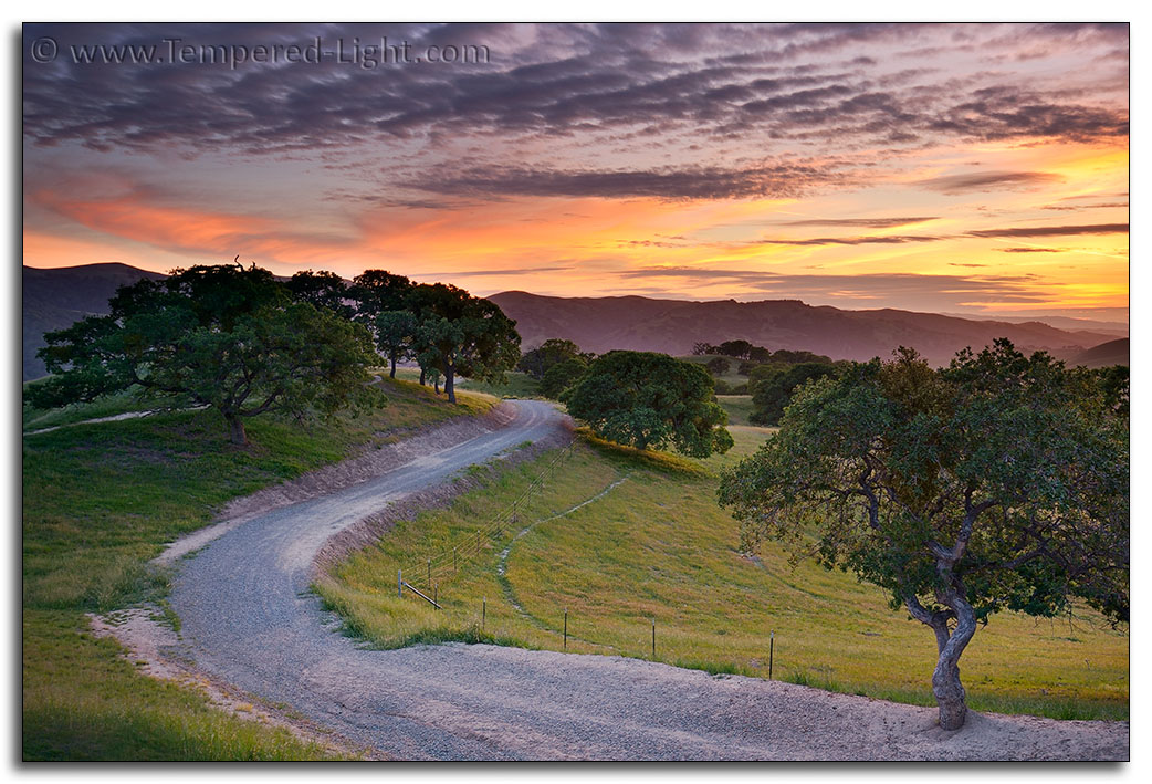 Springtime in Northern California