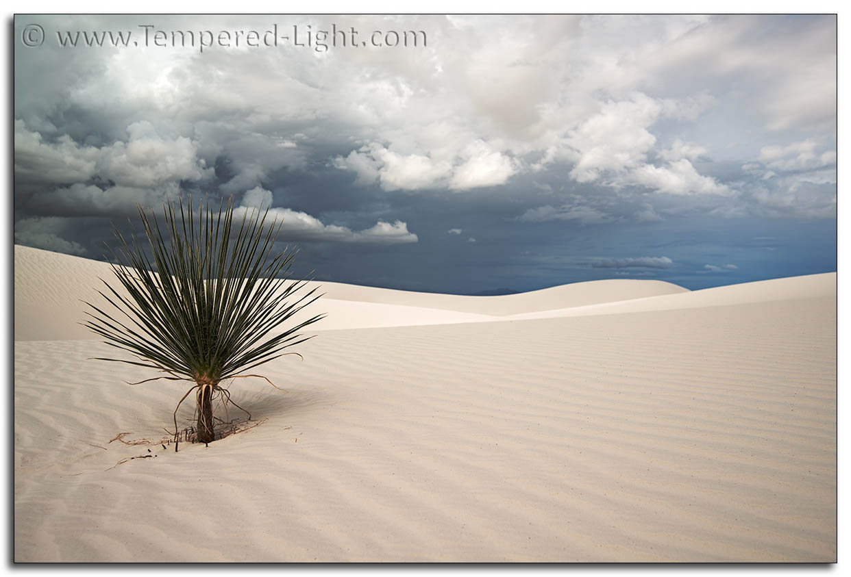 White Sands