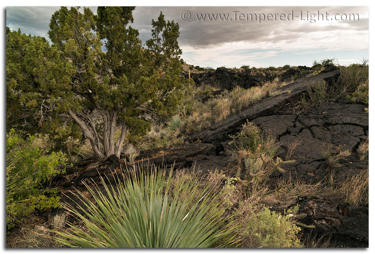 Carrizozo Lava Flow