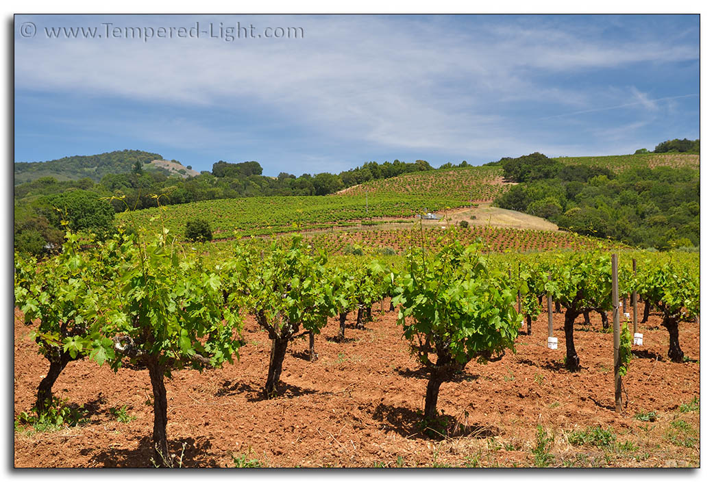 Fredericks (Weiss) 1