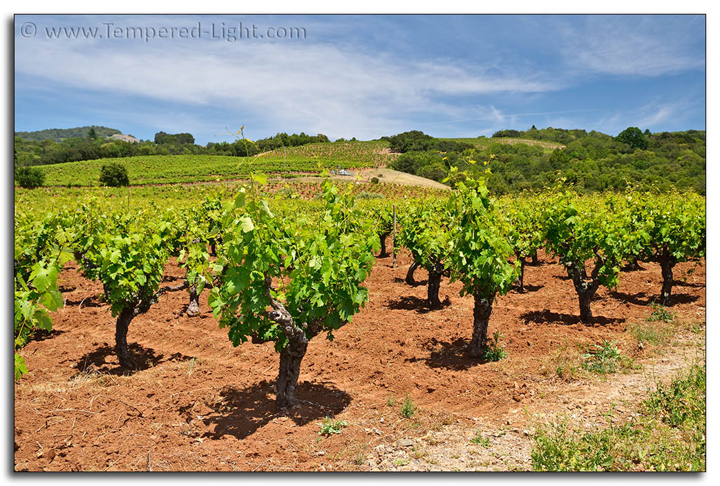 Fredericks (Weiss) 2