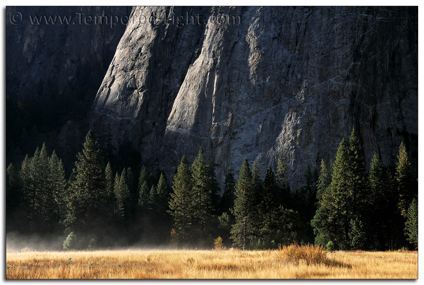 El Capitan Meadow at Dawn