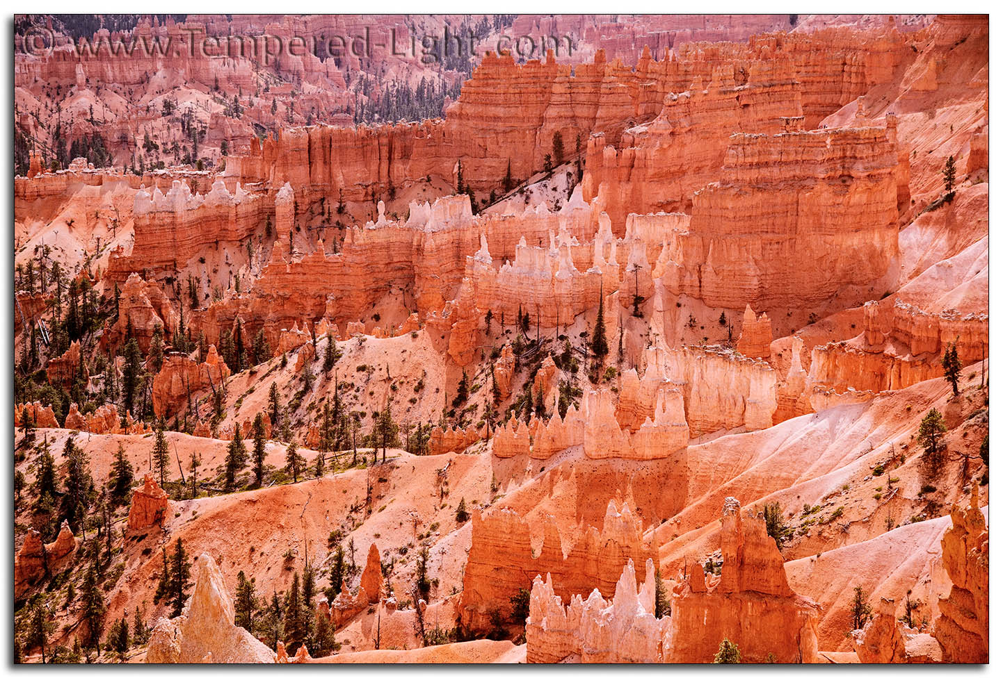 Bryce Canyon