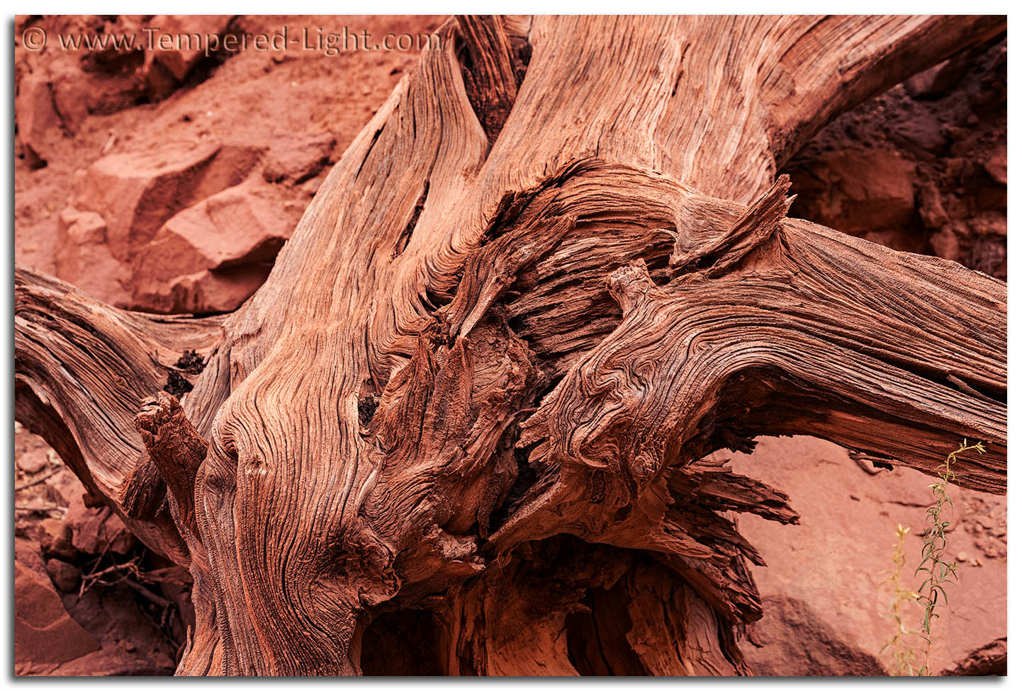 Capitol Reef Textures