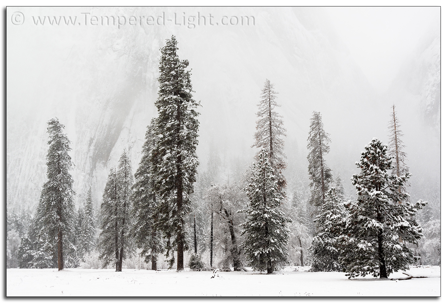 Yosemite Snow