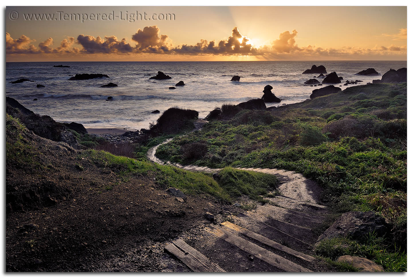 Returning to the Sea