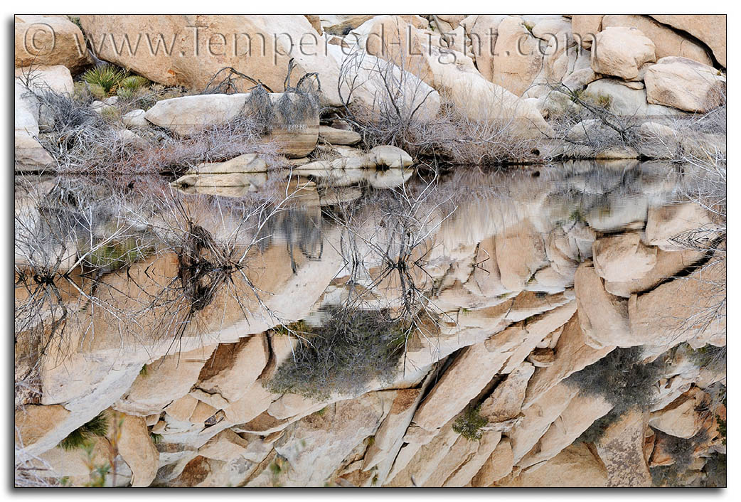 Morning at Barker Dam