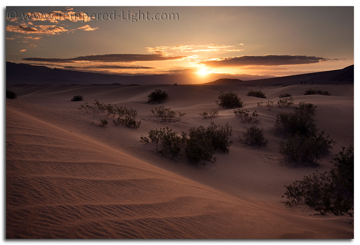 Sunrise at Mesquite Flats